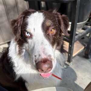 Meet your Posher, Matt